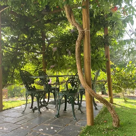Kır Evi Casa Do Pomar Bragança