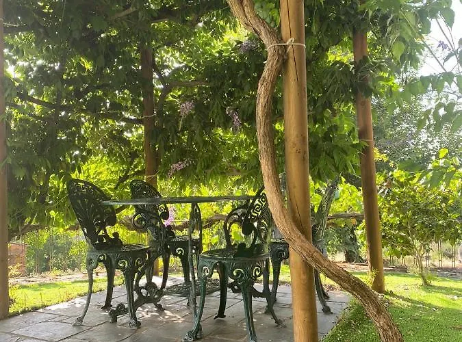 Gospodarstwo wiejskie Casa Do Pomar Bragança