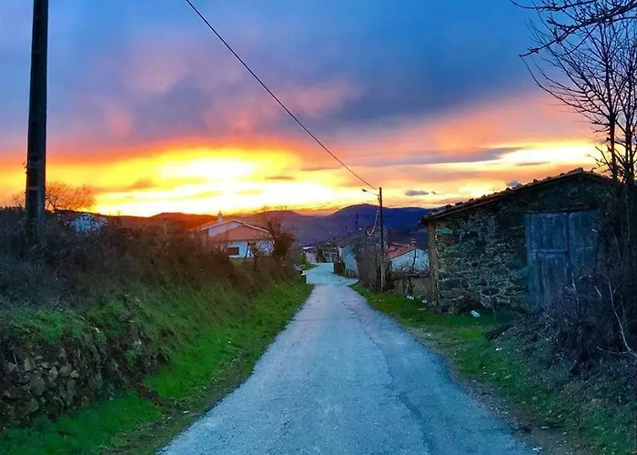 Gospodarstwo wiejskie Casa Do Pomar